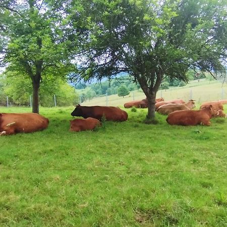 Casa Rural El Jondrigu Konuk evi Onís Dış mekan fotoğraf